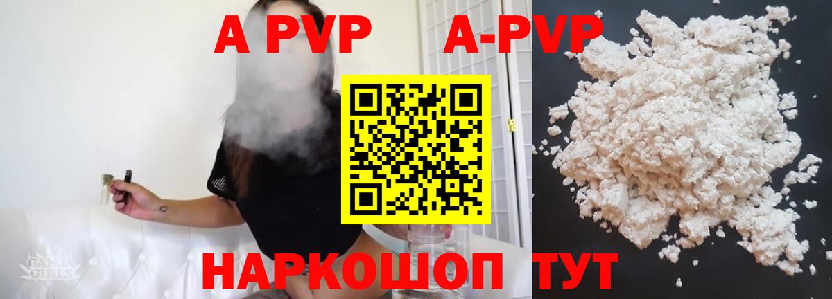 A PVP СК КРИС Новодвинск