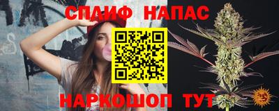 мдпв Новодвинск