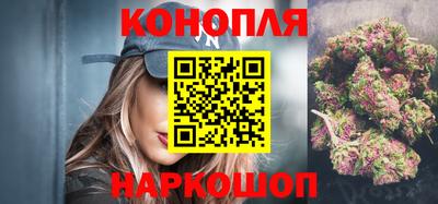 прущие грибы Новозыбков