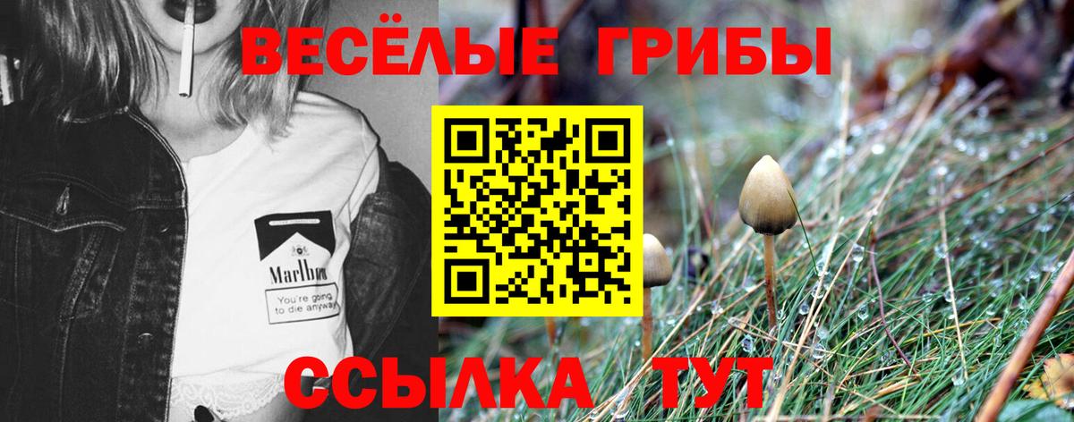 Галлюциногенные грибы мухоморы Новодвинск